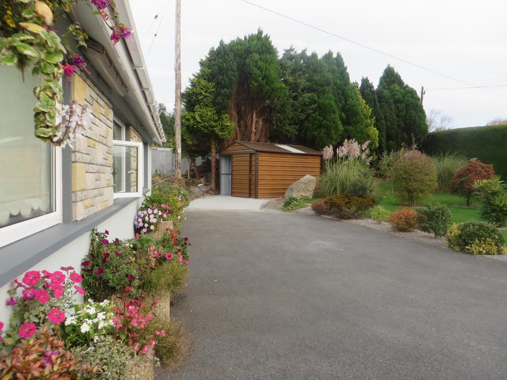 Dawn House B&B Kilmeaden Exterior photo